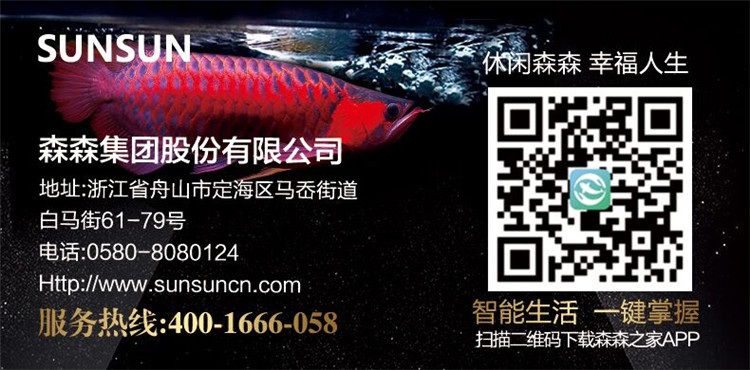 QQ图片20190730121850 - 750.jpg