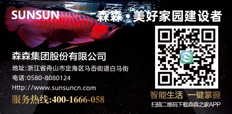 1705279688496083.jpg